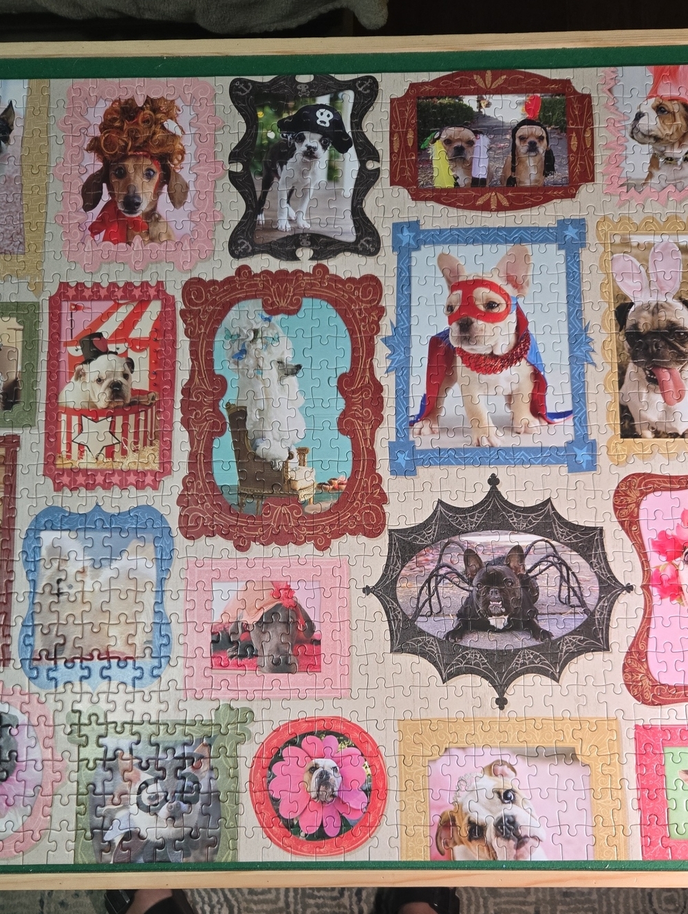 Hallmark Four Legged Costume Contest - Dogs Puzzle